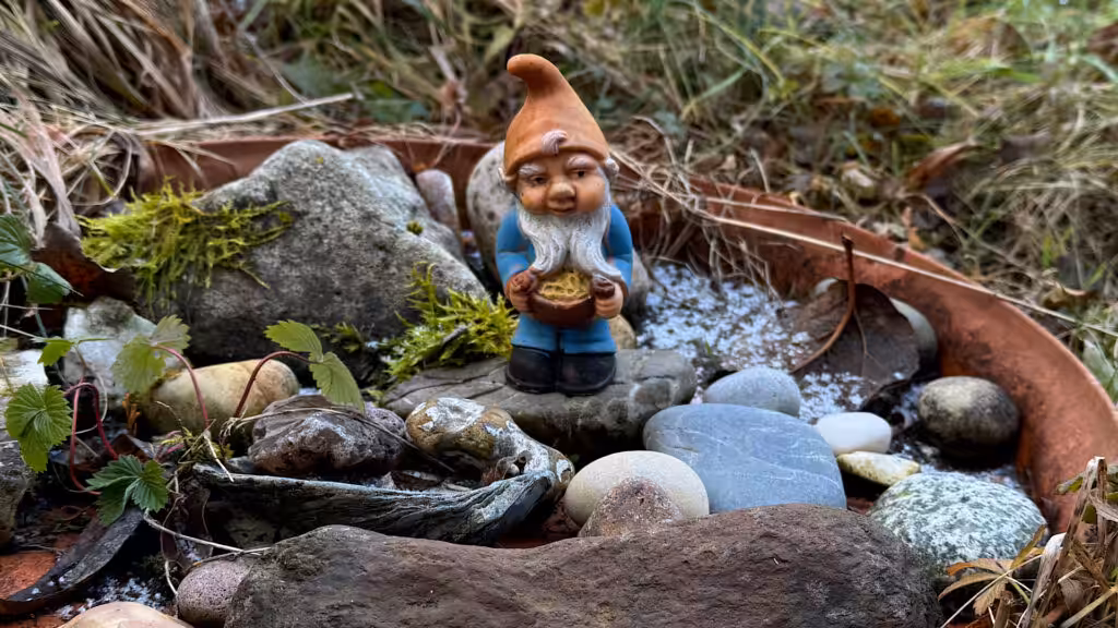 Zwerg in einer Schale mit Steinen im Garten