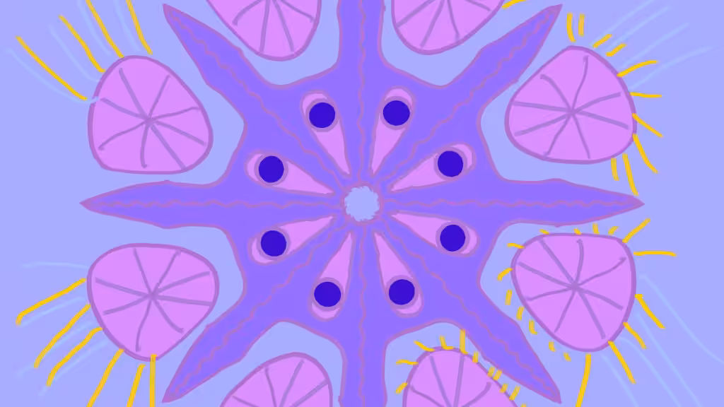 Großes Mandala lila und rosa