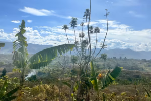 Landschaftsaufnahme mit Himmel