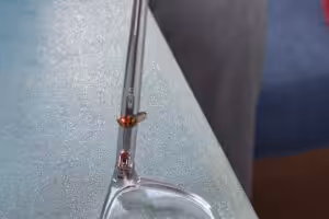 Marienkäfer auf einem Brillenbügel
