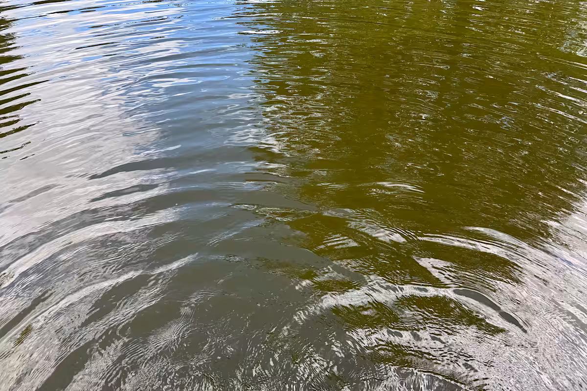 Nahaufnahme von Wasserwellen in Blau- und Grüntönen