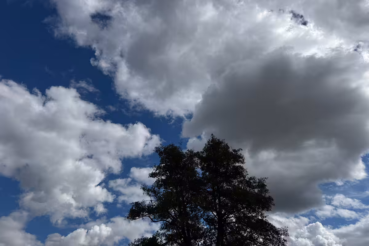 Wolkenhimmel mit Baumsilhouette, Blick von einer Liege am Bach