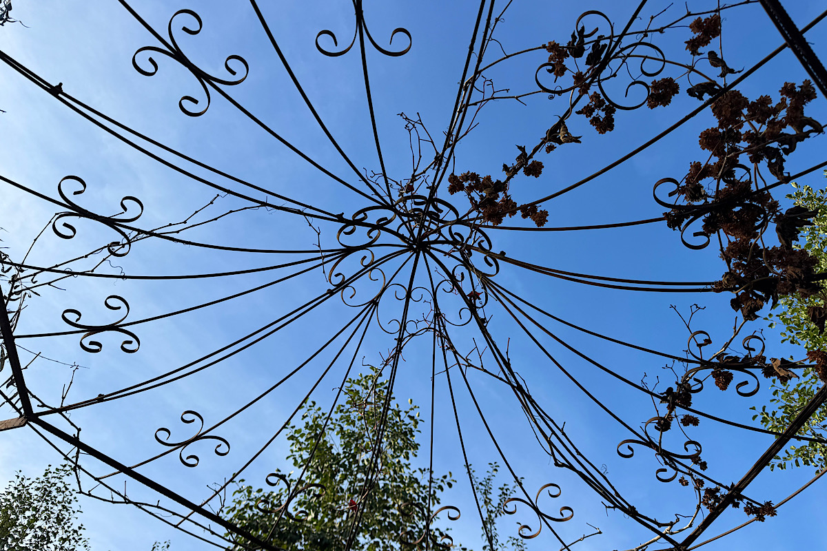 Blick von unten durch ein verschnörkeltes Pavillon-Gestell in den blauen Himmel